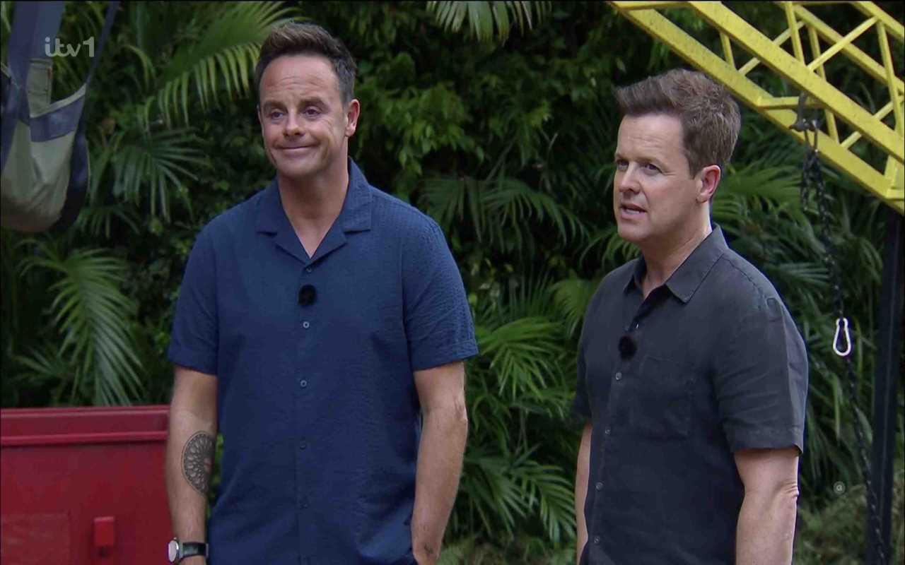 Ant McPartlin takes swipe at I’m A Celebrity’s Chris Moyles over his attitude