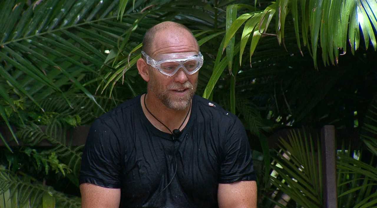 I’m A Celebrity’s Mike Tindall takes swipe at Declan Donnelly in tense trial