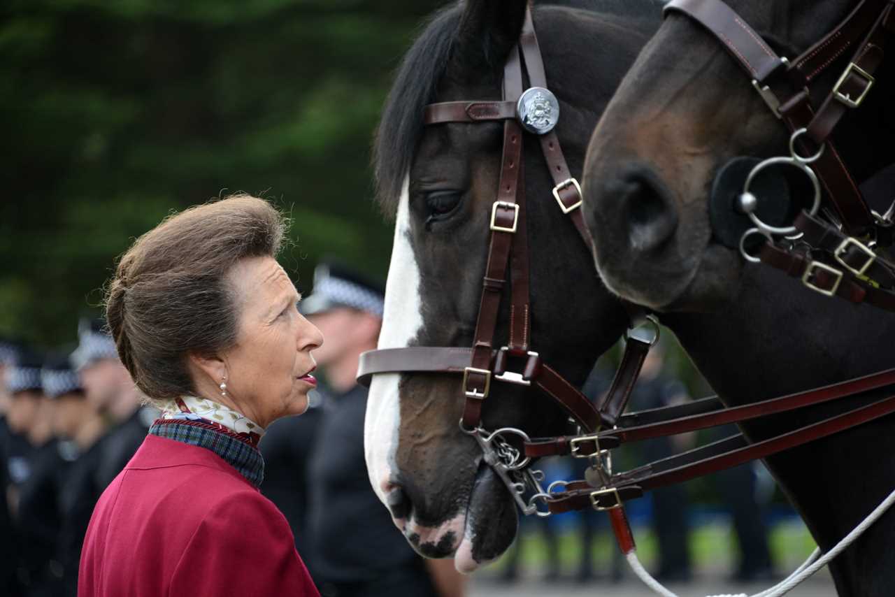 Queen made hilarious joke about Princess Anne’s kids – as Her Majesty’s sparkling wit revealed in explosive book