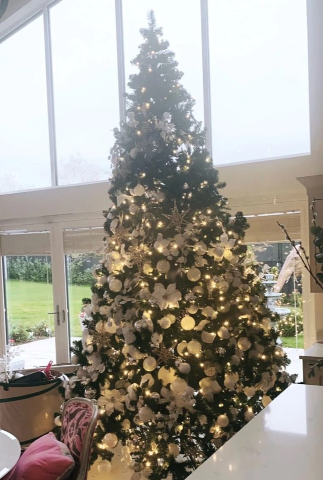 Gemma Collins reveals plans for ‘stripped back Christmas decorations’ to save money on electricity bill