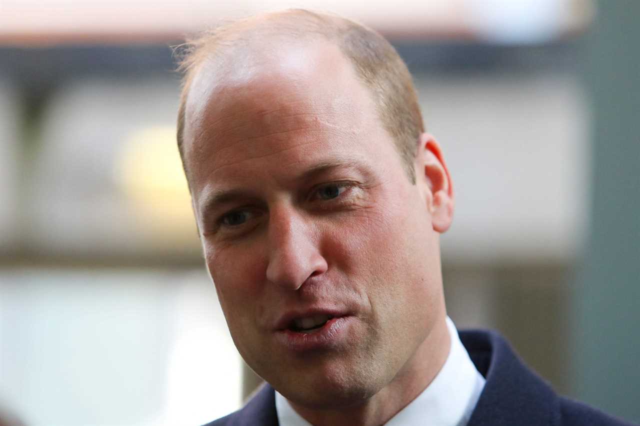 Heartbreak for Prince William as friend he ‘loved & admired’ dies in plane crash