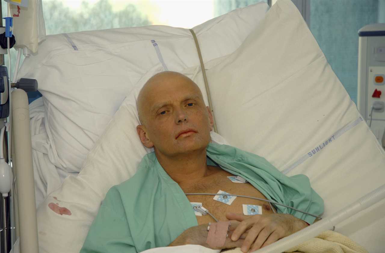 My husband Alexander Litvinenko knew Putin was killing him – he told cops: “I want to report a murder…mine”