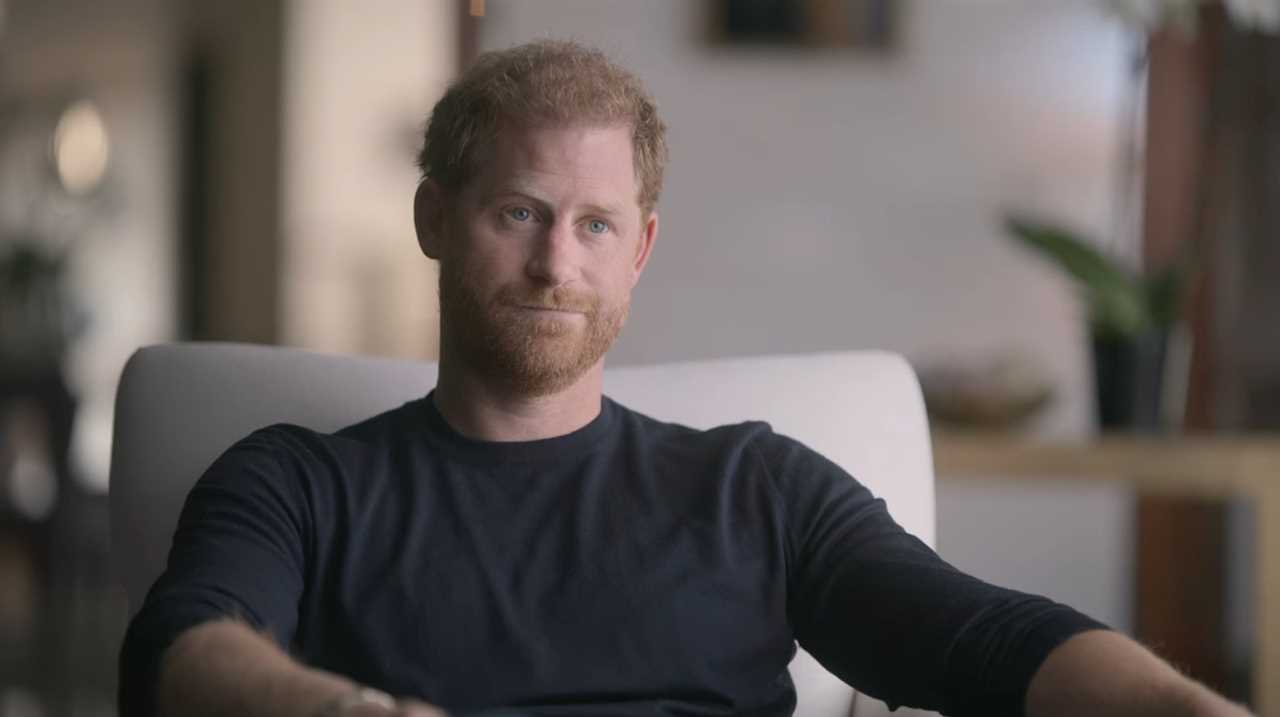 Telling Netflix doc moment shows how Prince Harry feels about his brother Prince William, body language expert claims