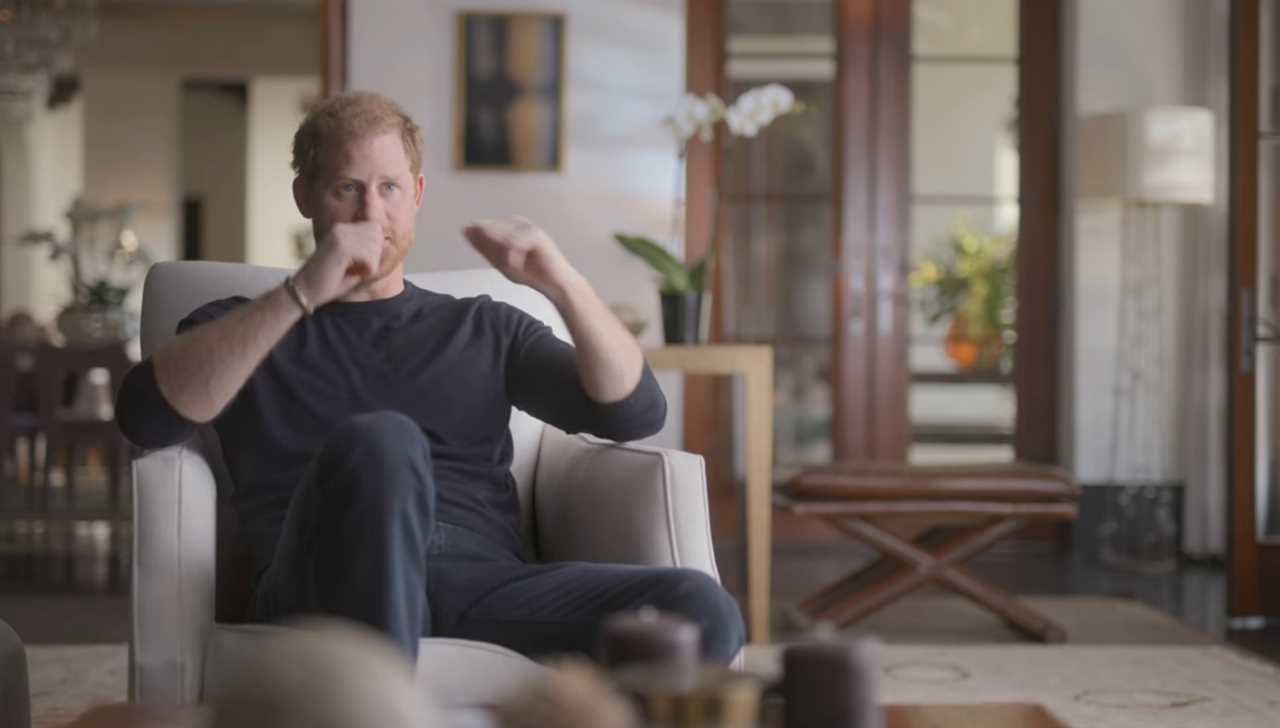 Telling Netflix doc moment shows how Prince Harry feels about his brother Prince William, body language expert claims