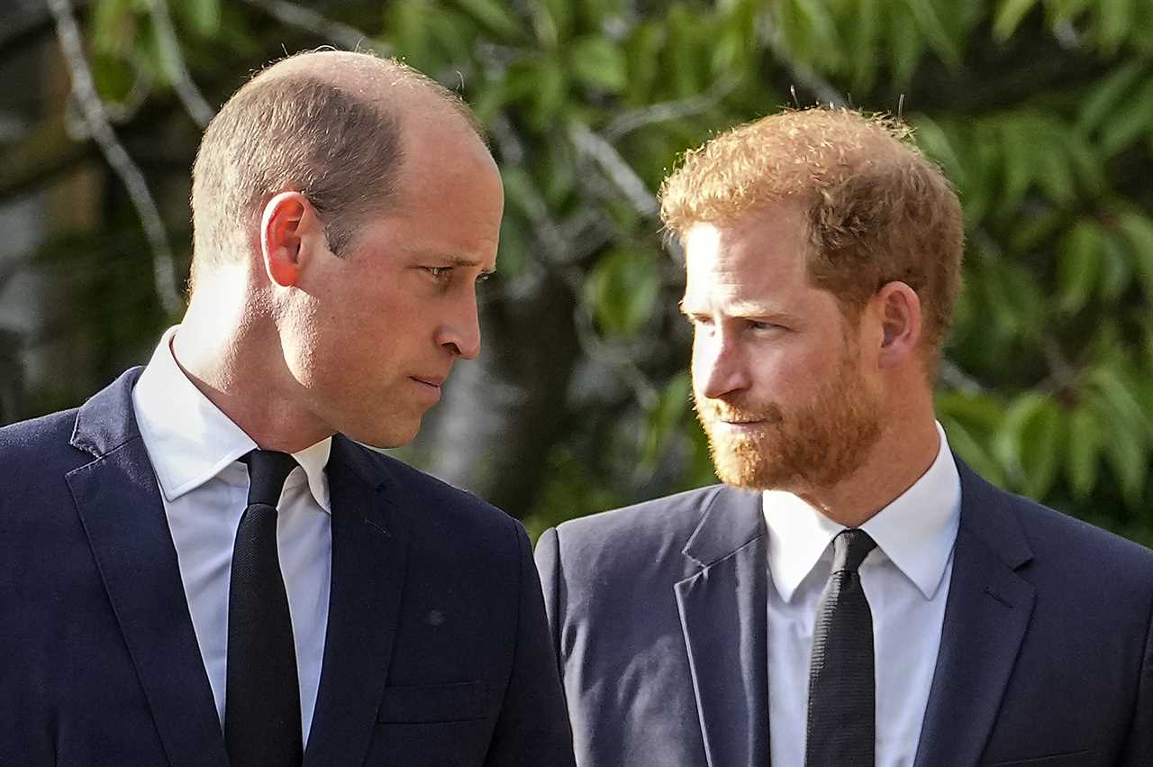 Prince Harry’s war on the Royal Family goes nuclear as he brands William a bully and calls King Charles a liar