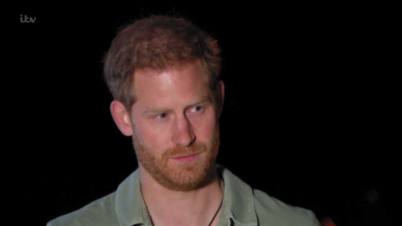 Prince Harry to release more bombshells in interview with ITV journalist to promote his memoir Spare