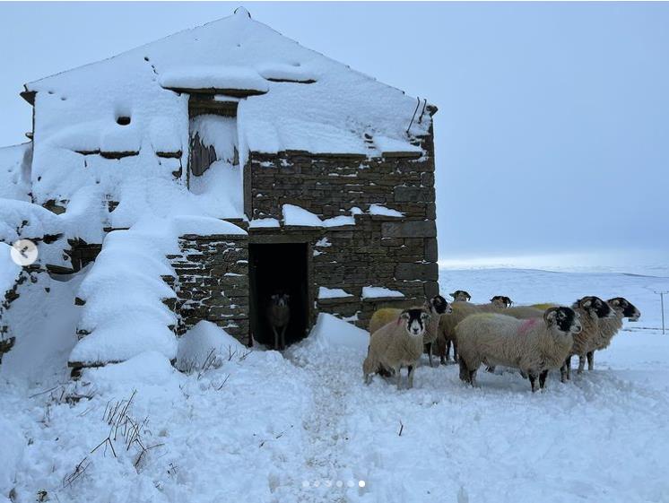 Amanda Owen fans all say the same thing as Our Yorkshire Farm star posts update fron snowy Ravenseat