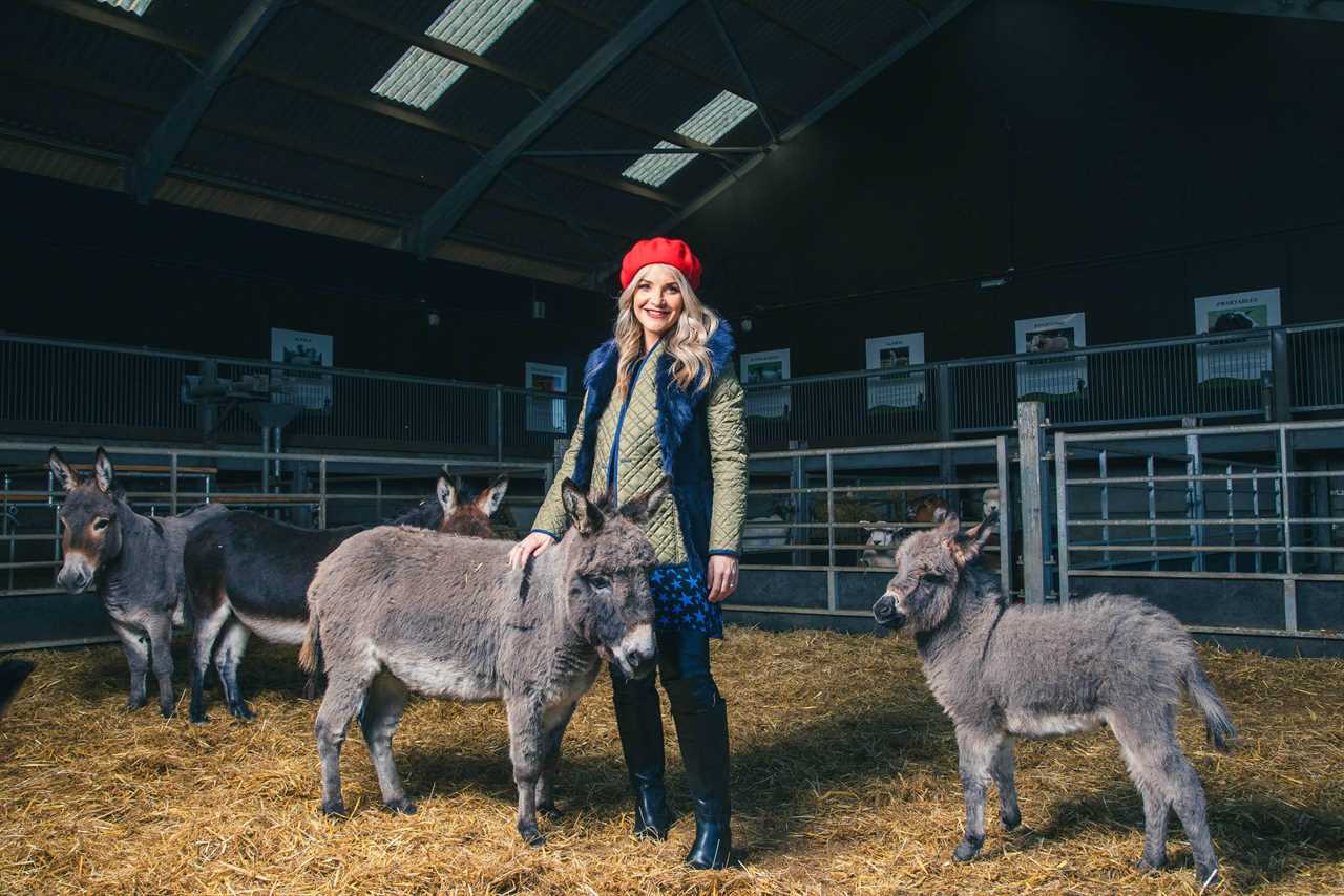 Strictly’s Helen Skelton looks dramatically different on Christmas on the Farm – can you guess why?