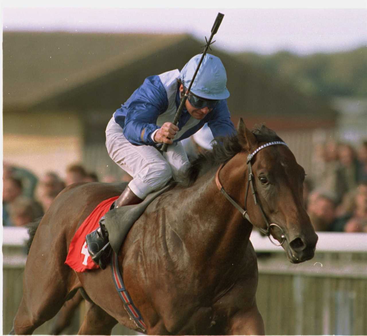 The Queen’s favourite horse Royal Applause dies aged 29 in sad Christmas news for The King and Royal Family