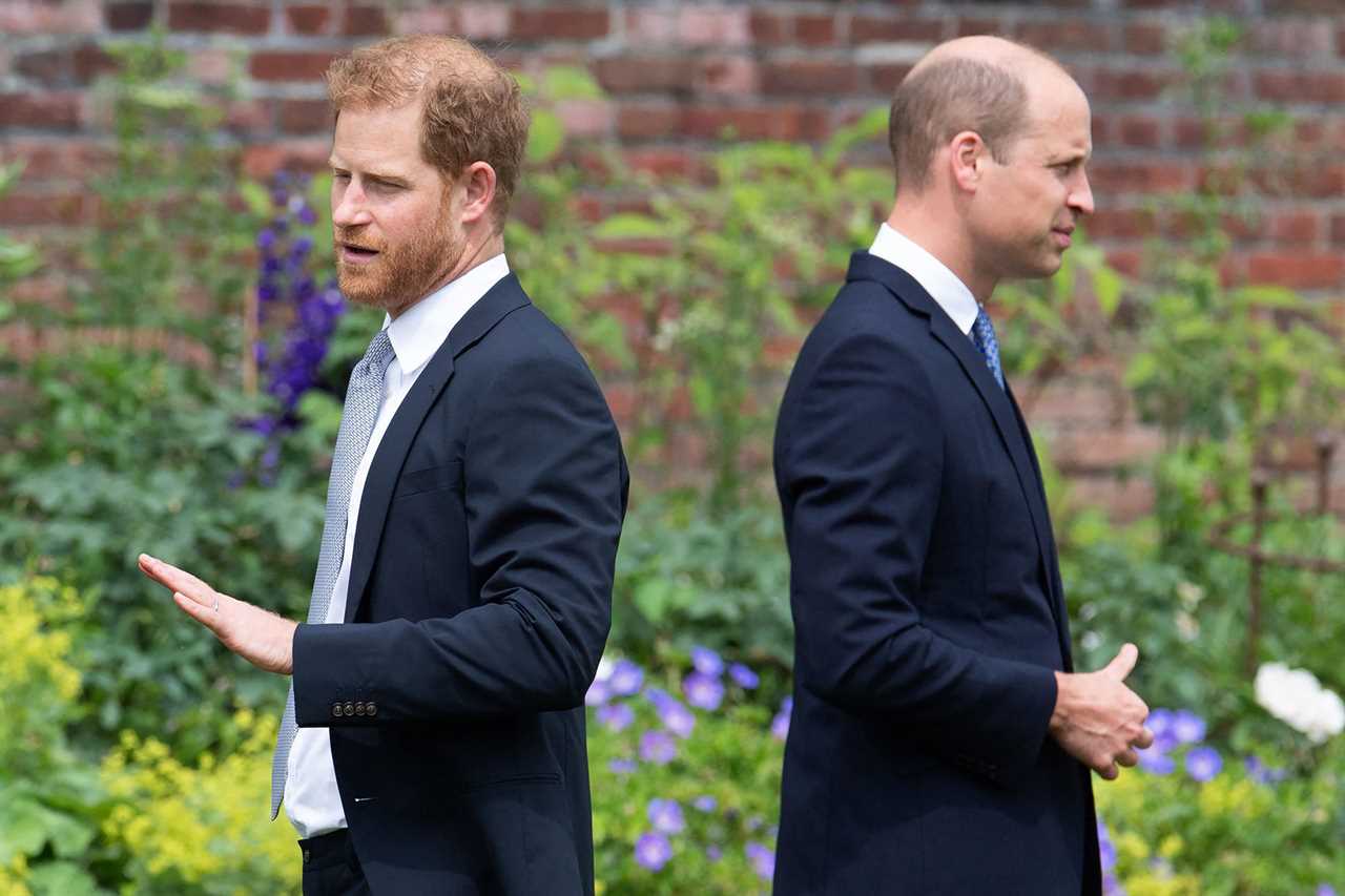 Prince Harry will blast William & moan he was forced to play second fiddle to older brother in explosive new book