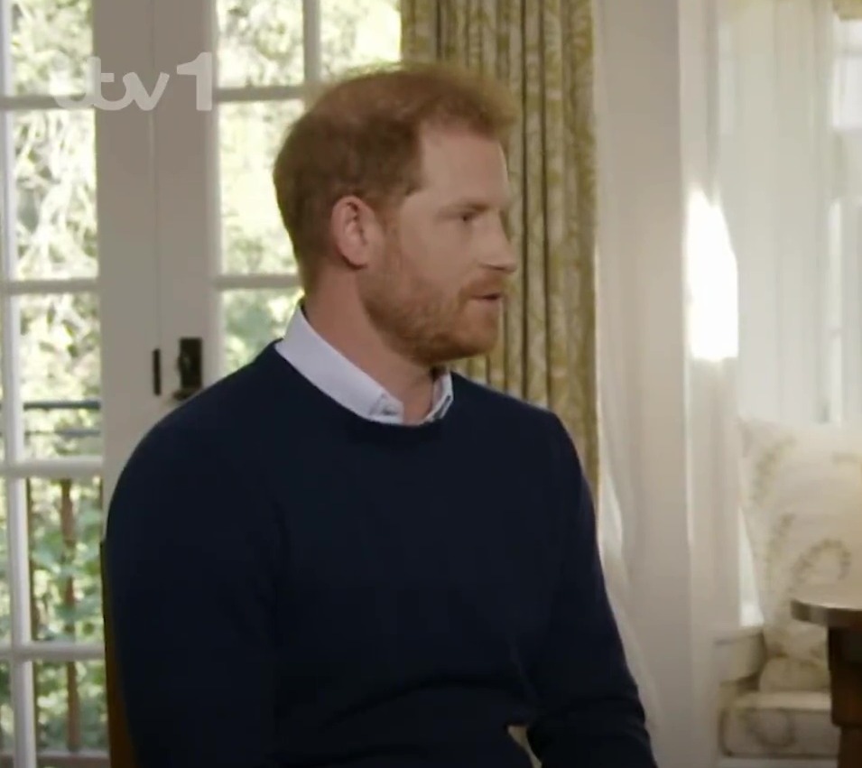 Prince Harry says ‘I would like to get my father back’ & blasts royals as he fumes ‘I want a family NOT an institution’