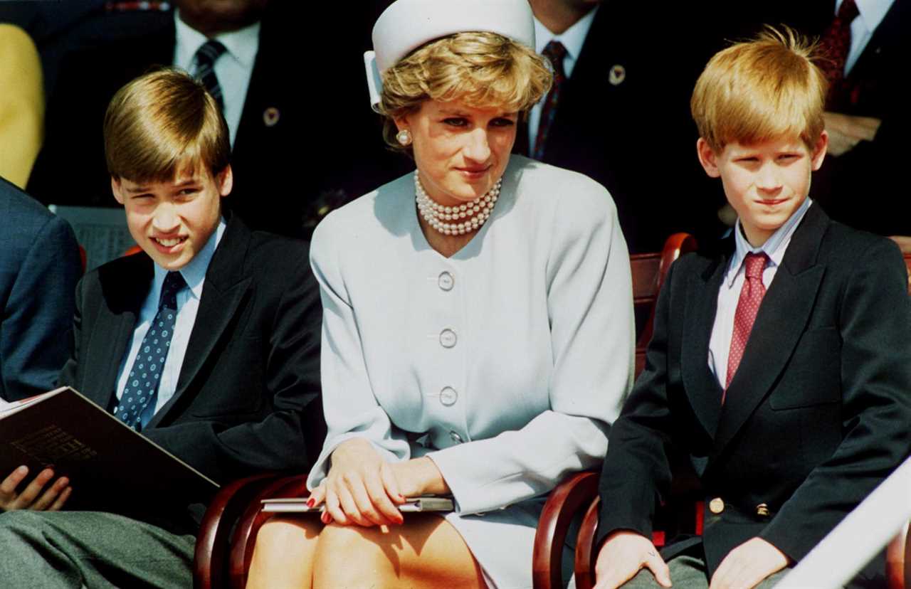 Prince Harry takes veiled swipe at mum Princess Diana’s famous Panorama quote and says ‘William and I were left out’