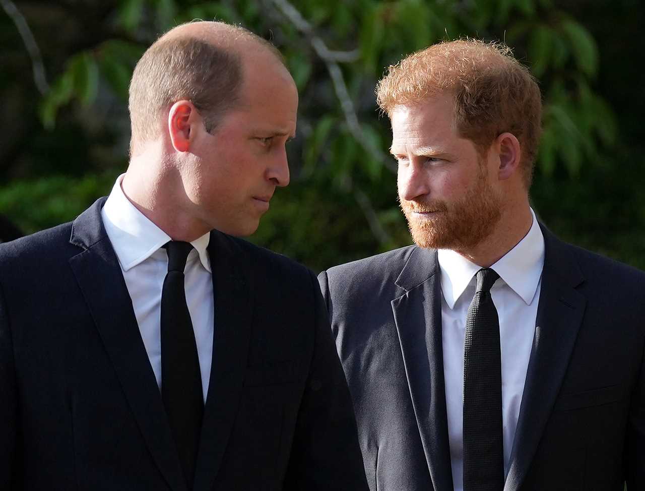 Prince Harry says William ‘attacked’ him & left him knocked to the floor after calling Meg ‘difficult’ in bombshell book