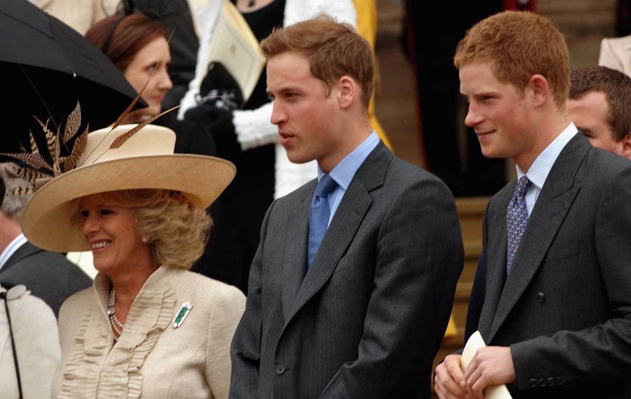 Prince Harry shockingly accuses Camilla of leaking stories and claims she launched campaign to marry Charles & get crown