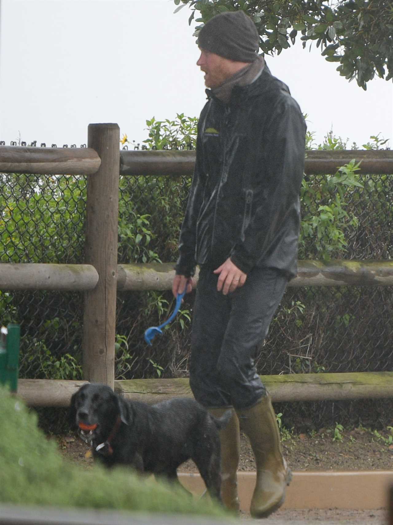 Prince Harry seen on dog walk as he breaks cover for first time after unleashing explosive claims William attacked him