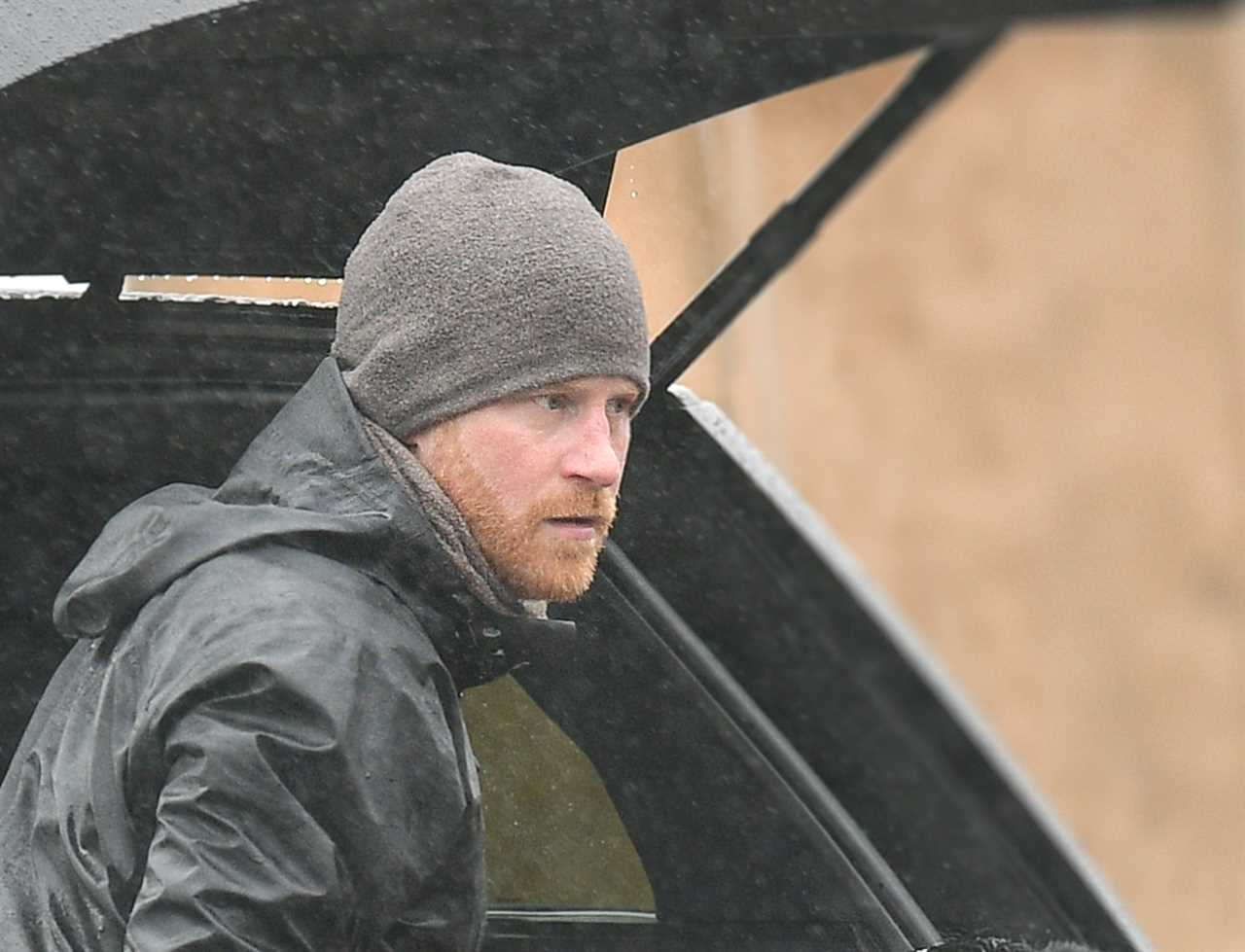 Prince Harry seen on dog walk as he breaks cover for first time after unleashing explosive claims William attacked him
