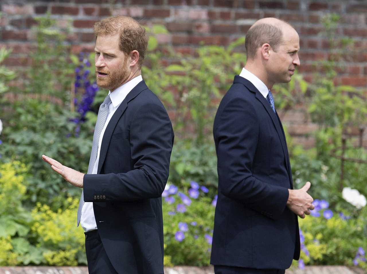 Prince Harry’s jealousy of William is made apparent in bombshell memoir