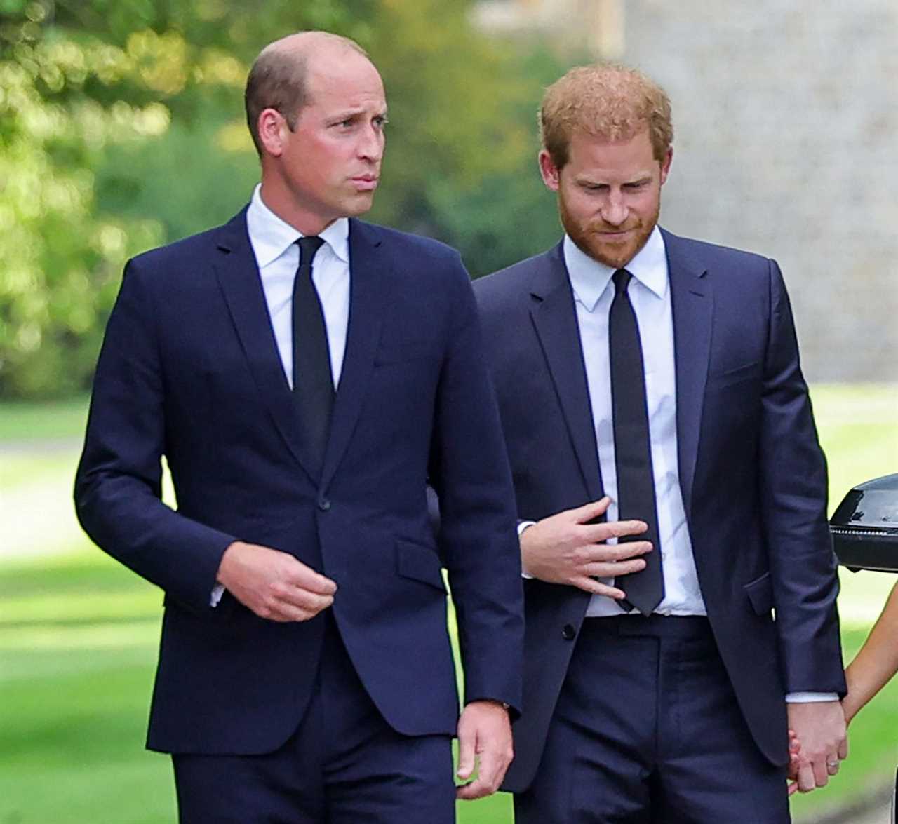 ‘Punchbag’ Prince William ‘burning with anger’ over Harry’s book but will ‘silently suffer the blows for sake of family’