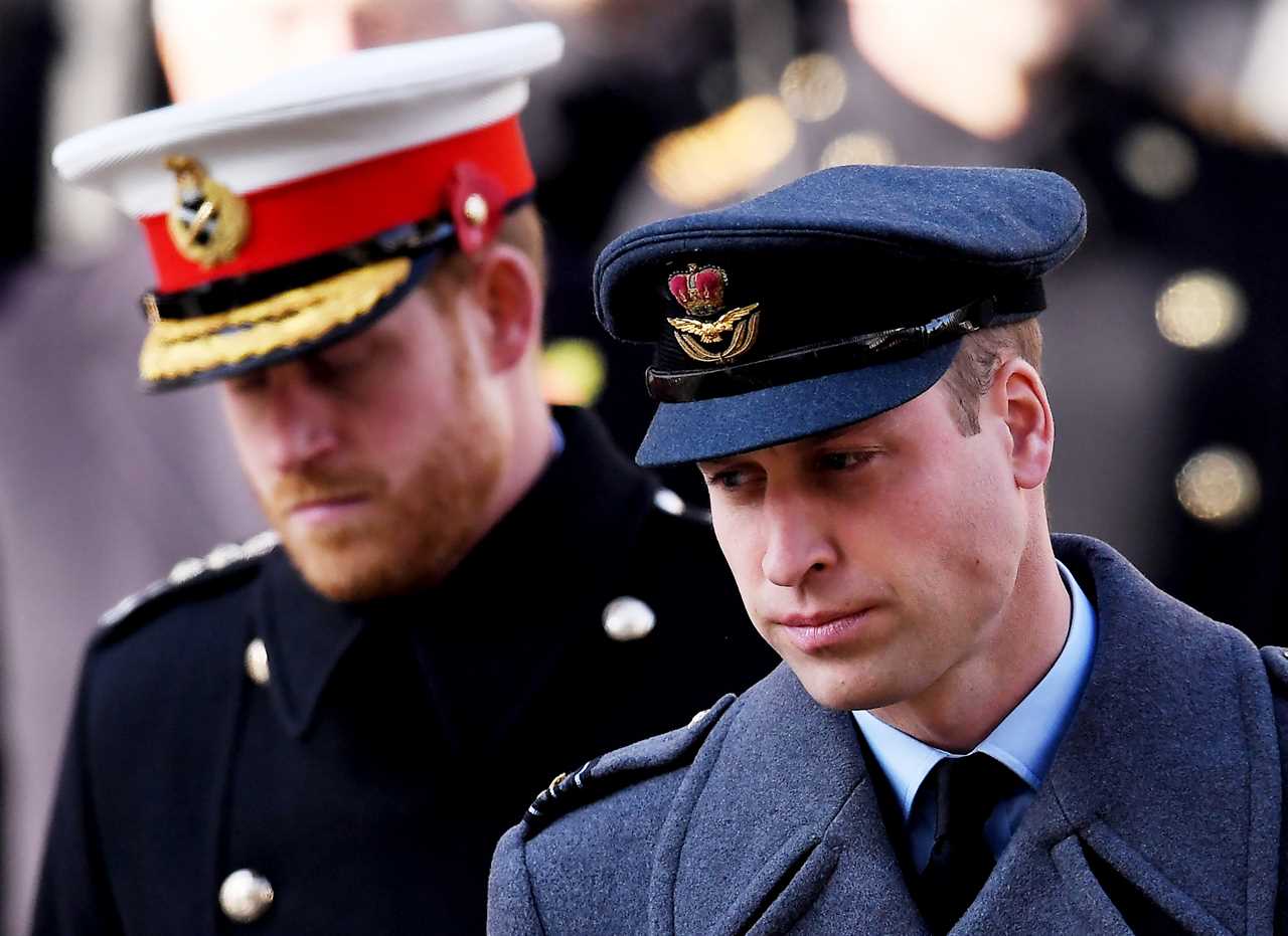 Prince William said Harry was being ‘brainwashed by his therapist’ and ‘wasn’t well’ sparking furious row, book claims