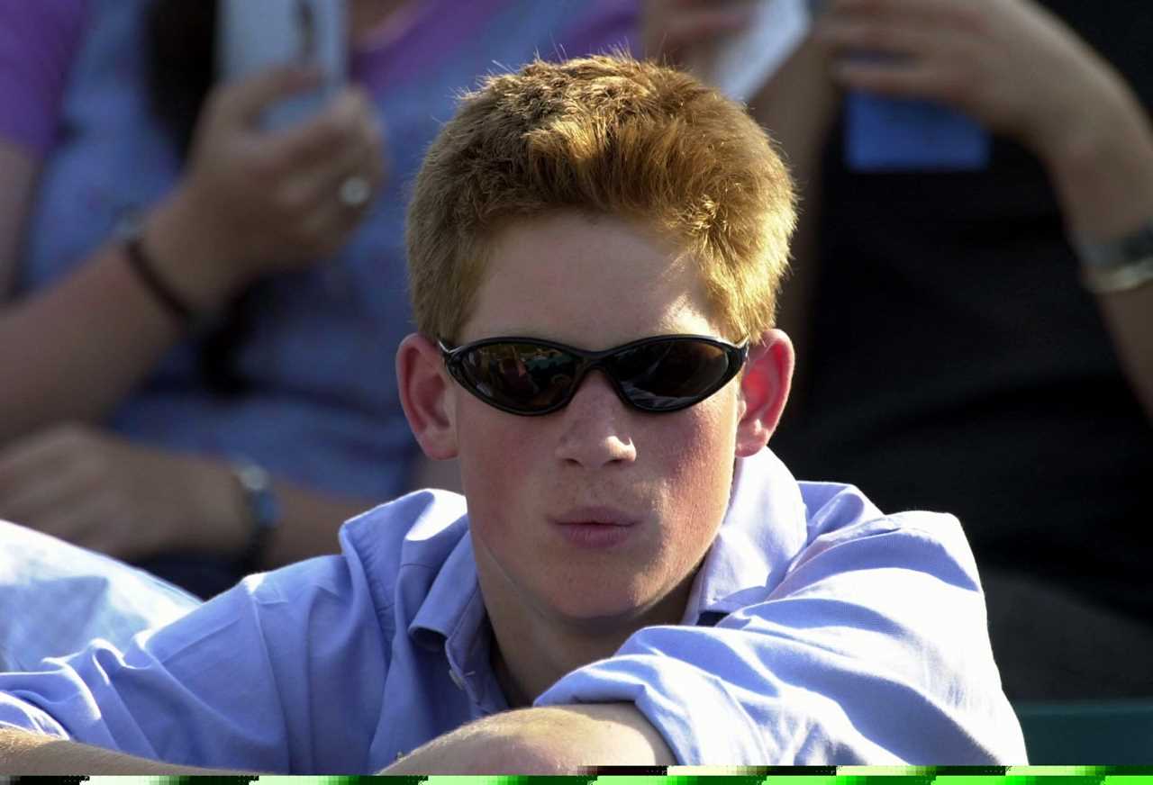 Prince Harry, aged 17, told addicts at rehab he’d ‘experimented’ with cocaine, ketamine & cannabis following loss of mum