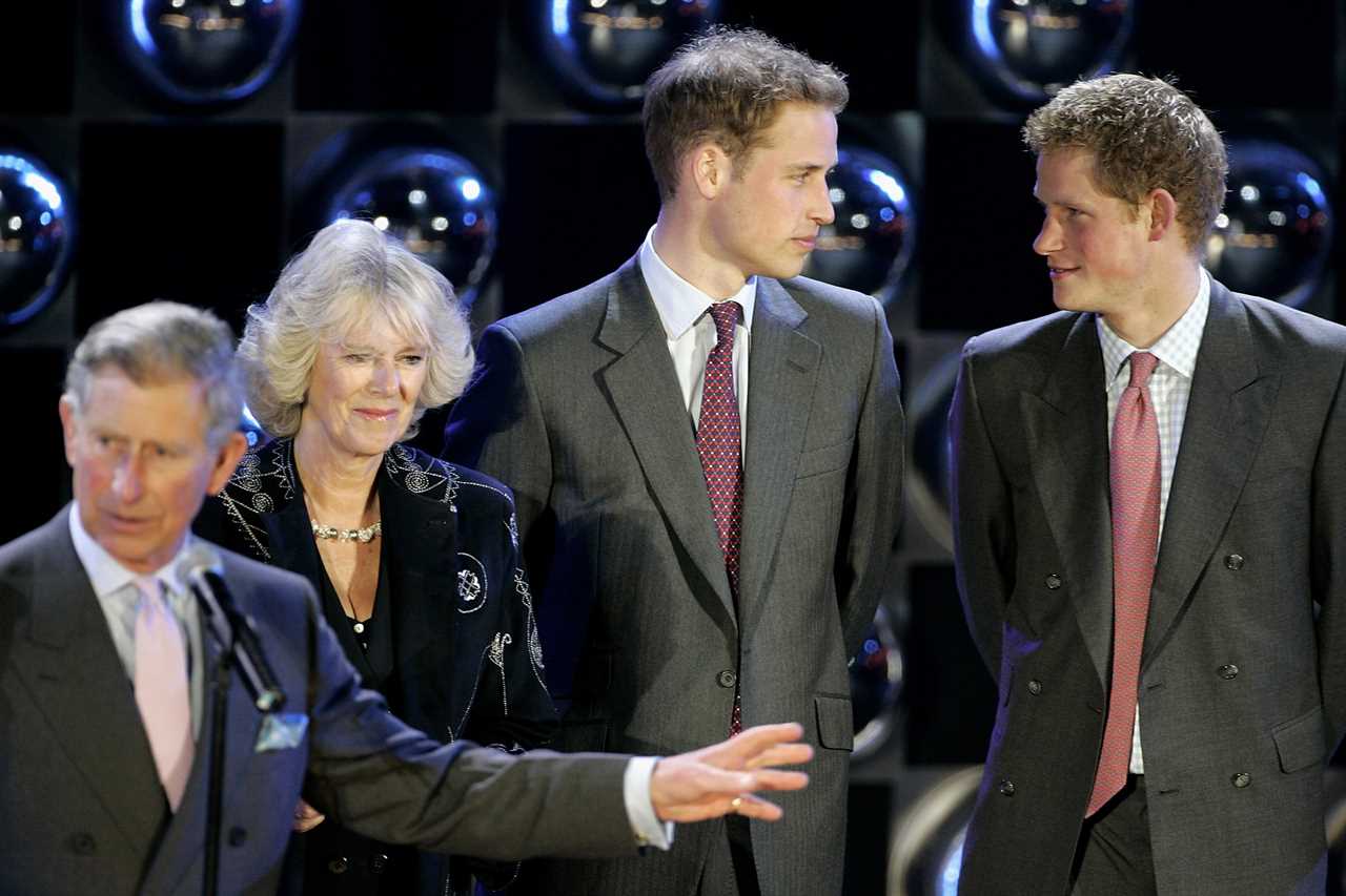 Prince Harry says Charles wasn’t made to be a single dad and hits back at claims of his ‘scathing’ attacks on Camilla