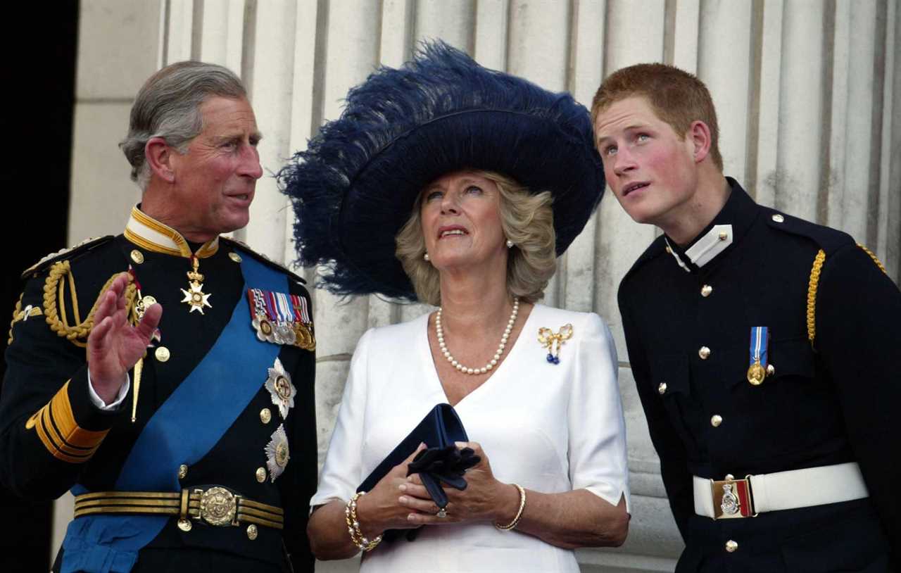 Prince Harry ‘crosses Charles’ red line’ after astonishing attacks on Camilla – calling her a ‘villain’ and ‘dangerous’