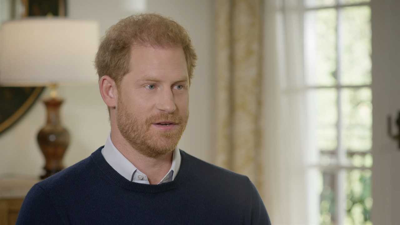 Royal fans are saying the same thing after Prince Harry moans about shopping in TK Maxx and buying IKEA lamp