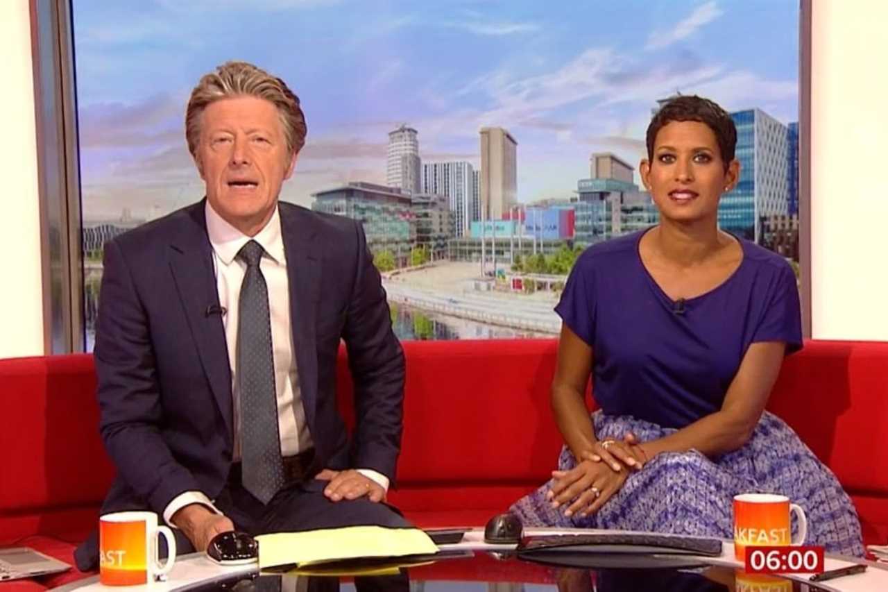 BBC Breakfast host Charlie Stayt’s hair yanked by celeb guest after being accused of wearing wig