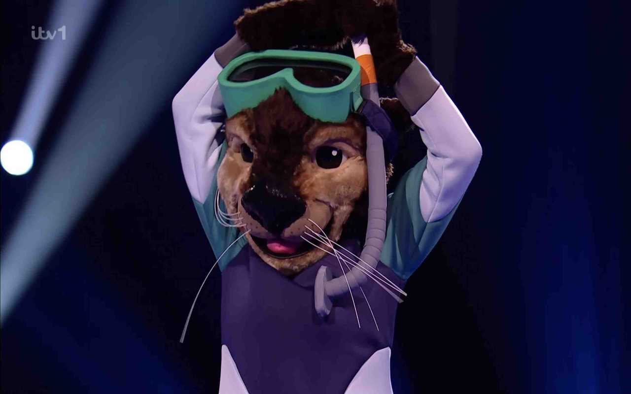 Masked Singer’s Otter ‘revealed’ as This Country star after fans spot 8 clues – do you agree?