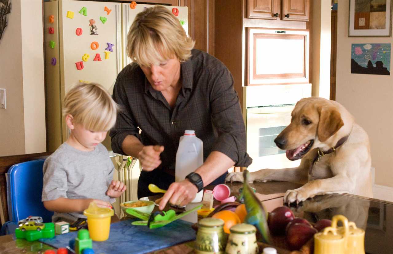 Marley & Me child star looks unrecognisable 15 years after hit Jennifer Aniston film was released