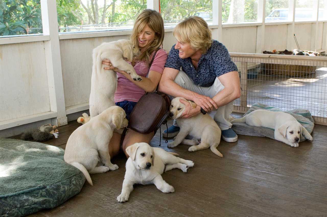 Marley & Me child star looks unrecognisable 15 years after hit Jennifer Aniston film was released