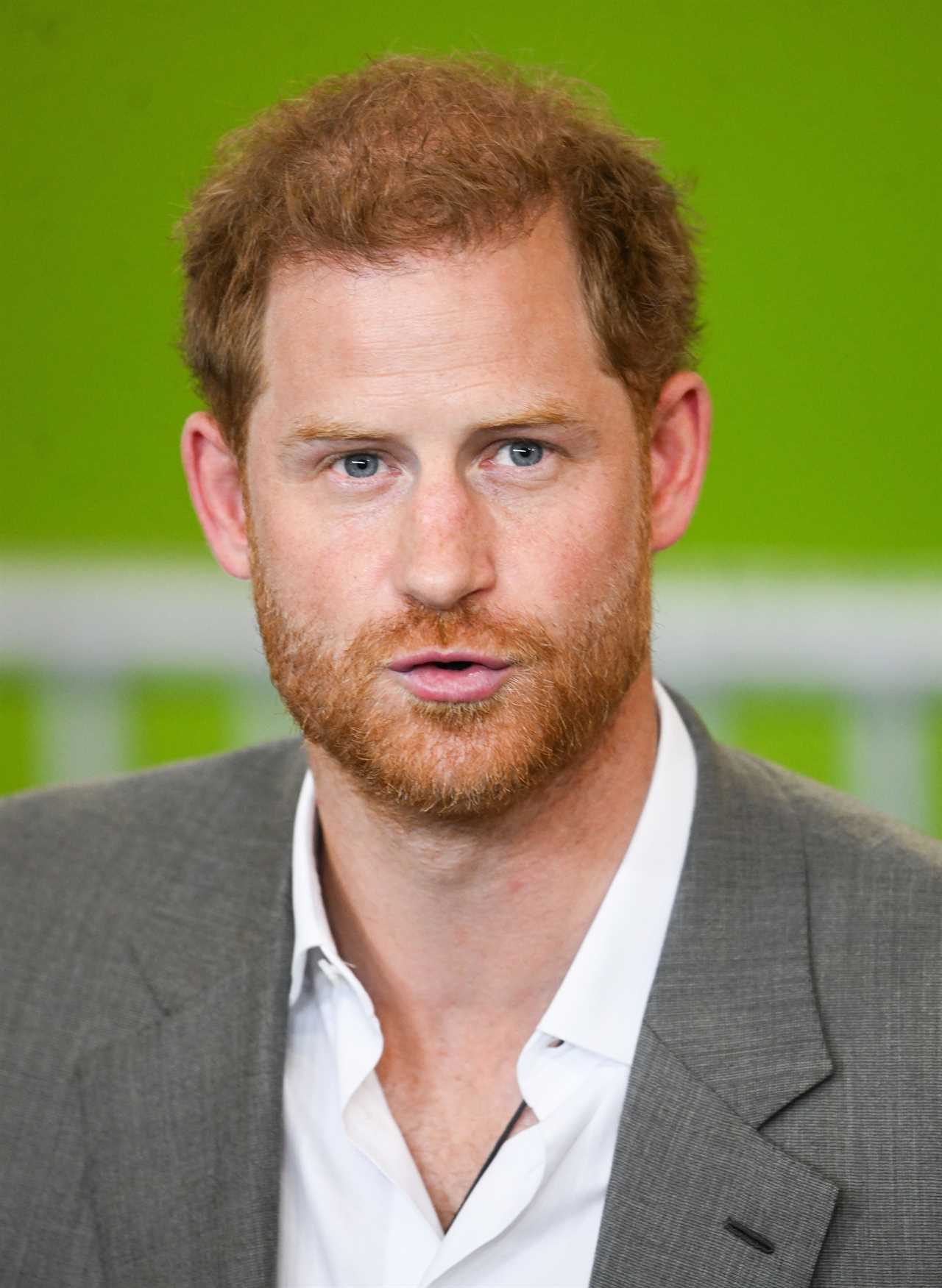 Prince Harry lost his virginity in our field – I could put up a blue plaque