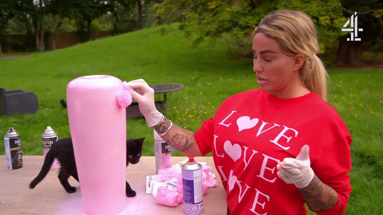 Katie Price’s Mucky Mansion fan ‘calls the RSPCA’ on her as she ‘puts kitten in danger’ on new show