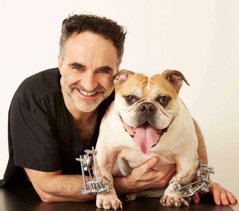 Who is Supervet Noel Fitzpatrick and what is his net worth?