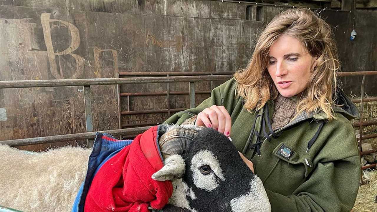 Amanda Owen fans all say the same thing as Our Yorkshire Farm star shares Ravenseat parenting tip