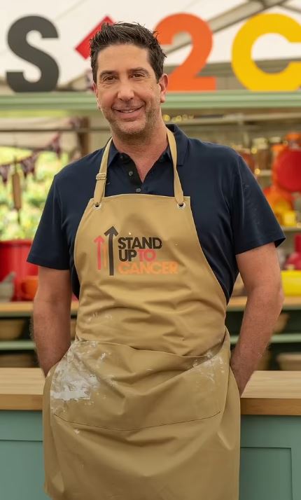 David Schwimmer was reportedly desperate to win the Bake Off celebrity special