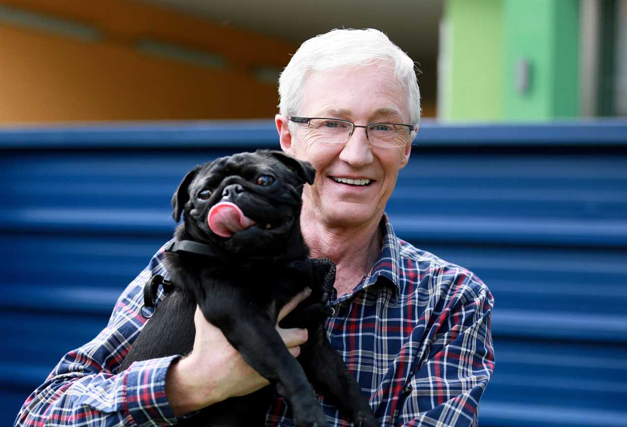 From Shiver Productions PAUL OGRADY: FOR THE LOVE OF DOGS Thursday 8th October 2015 on ITV Pictured: Paul O'Grady with a Pug called Peanut who has breathing difficulties Animal lover Paul is back for series four of his hit show. And it's even more puptastic than ever! This eight-parter sees the comedian and chat show host revisit Battersea Dogs and Cats Home in London where he meets more residents who are looking for help, understanding and, most important of all, a new home! Paul is there as one pooch gives birth to a litter of puppies and meets a VIP guest who he hopes to persuade to give a dog a home! © Battersea Dogs Home Photographer: Kate Walch For further information please contact Peter Gray 0207 157 3046 peter.gray@itv.com This photograph is © Battersea Dogs Home and can only be reproduced for editorial purposes directly in connection with the programme or ITV. Once made available by the ITV Picture Desk, this photograph can be reproduced once only up until the Transmission date and no reproduction fee will be charged. Any subsequent usage may incur a fee. This photograph must not be syndicated to any other publication or website, or permanently archived, without the express written permission of ITV Picture Desk. Full Terms and conditions are available on the website www.itvpictures.com  .