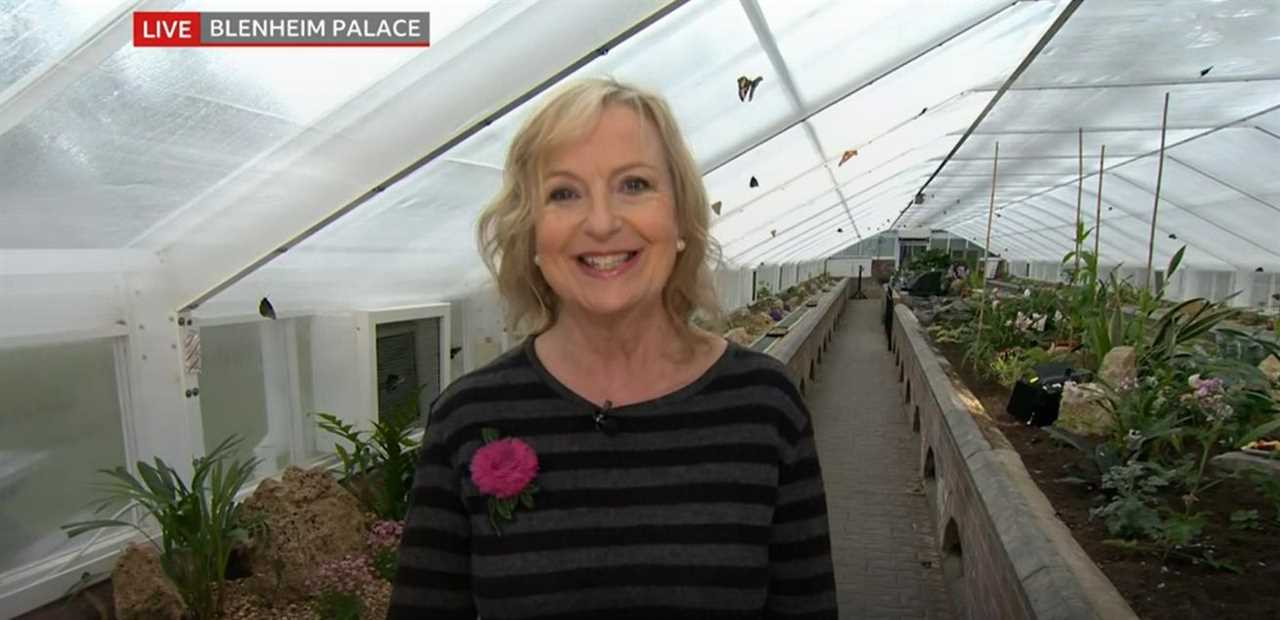 BBC Breakfast fans swoon over ‘fit and trim’ Carol Kirkwood as she ditches studio for weather report