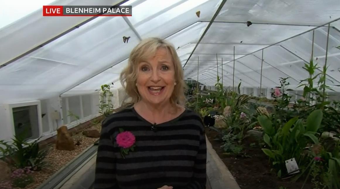 BBC Breakfast fans swoon over ‘fit and trim’ Carol Kirkwood as she ditches studio for weather report