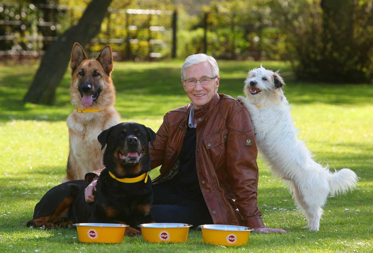 Paul O’Grady tried to convince the Queen to adopt corgi as late star’s sneaky tactics to help stricken pups are revealed