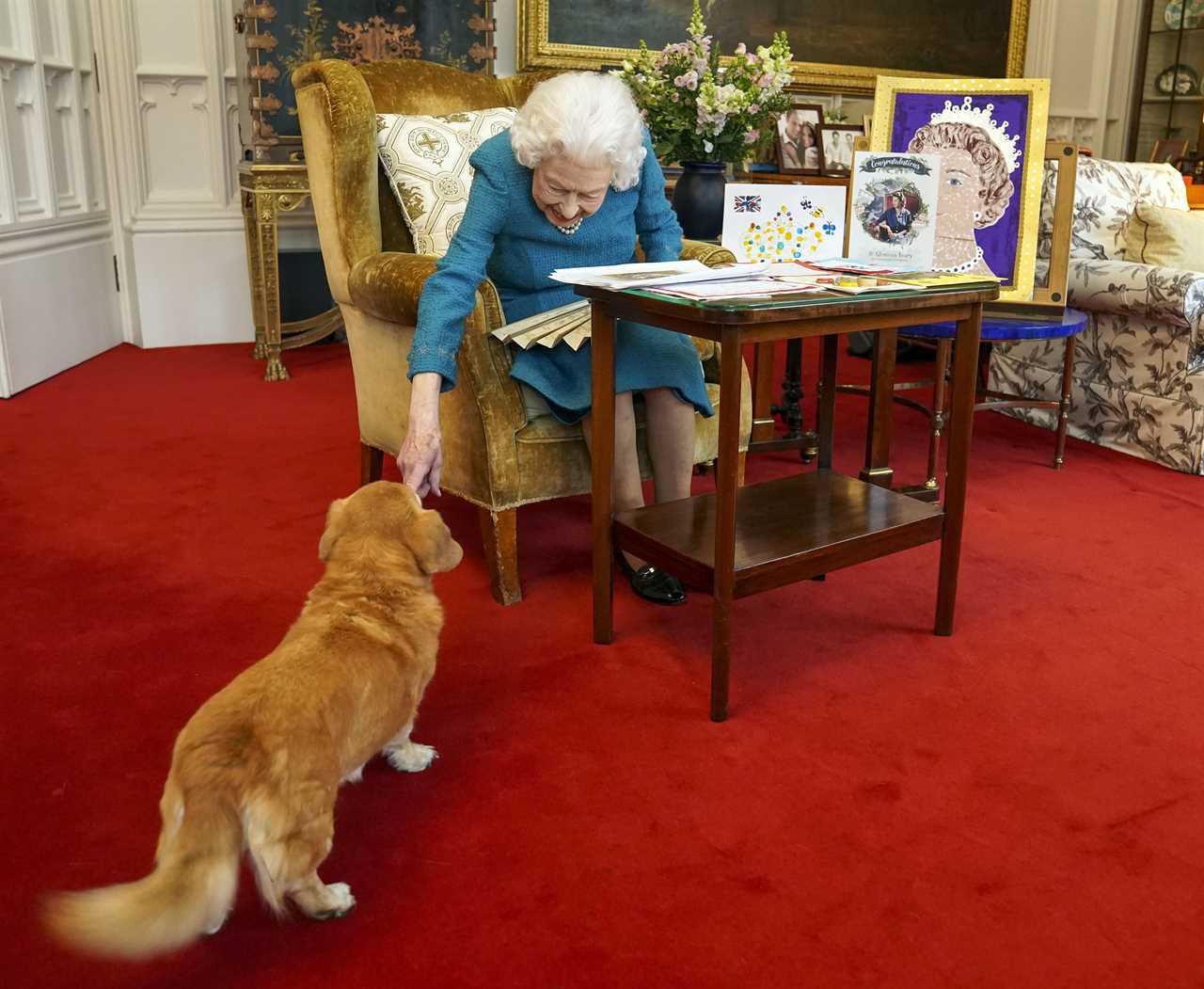 Paul O’Grady tried to convince the Queen to adopt corgi as late star’s sneaky tactics to help stricken pups are revealed
