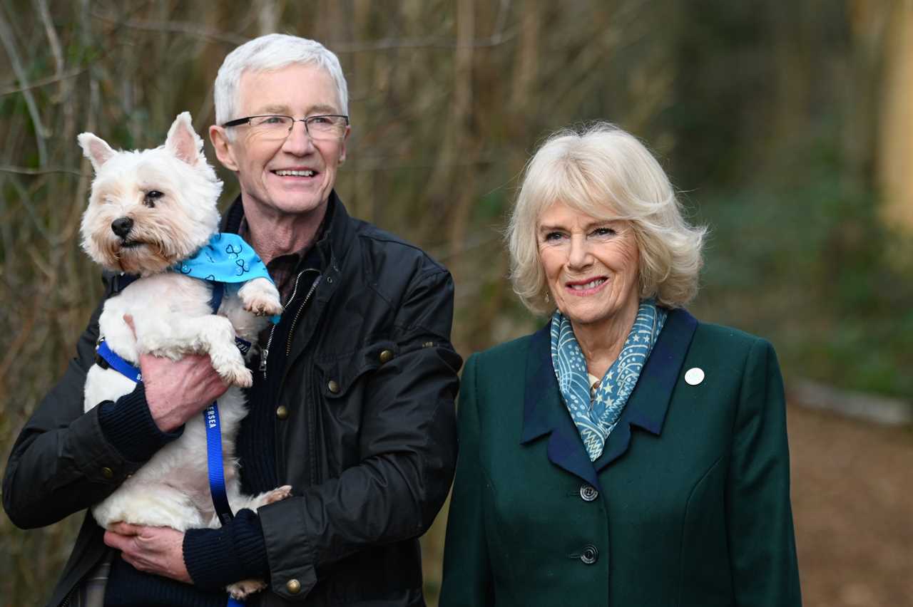 Paul O’Grady tried to convince the Queen to adopt corgi as late star’s sneaky tactics to help stricken pups are revealed