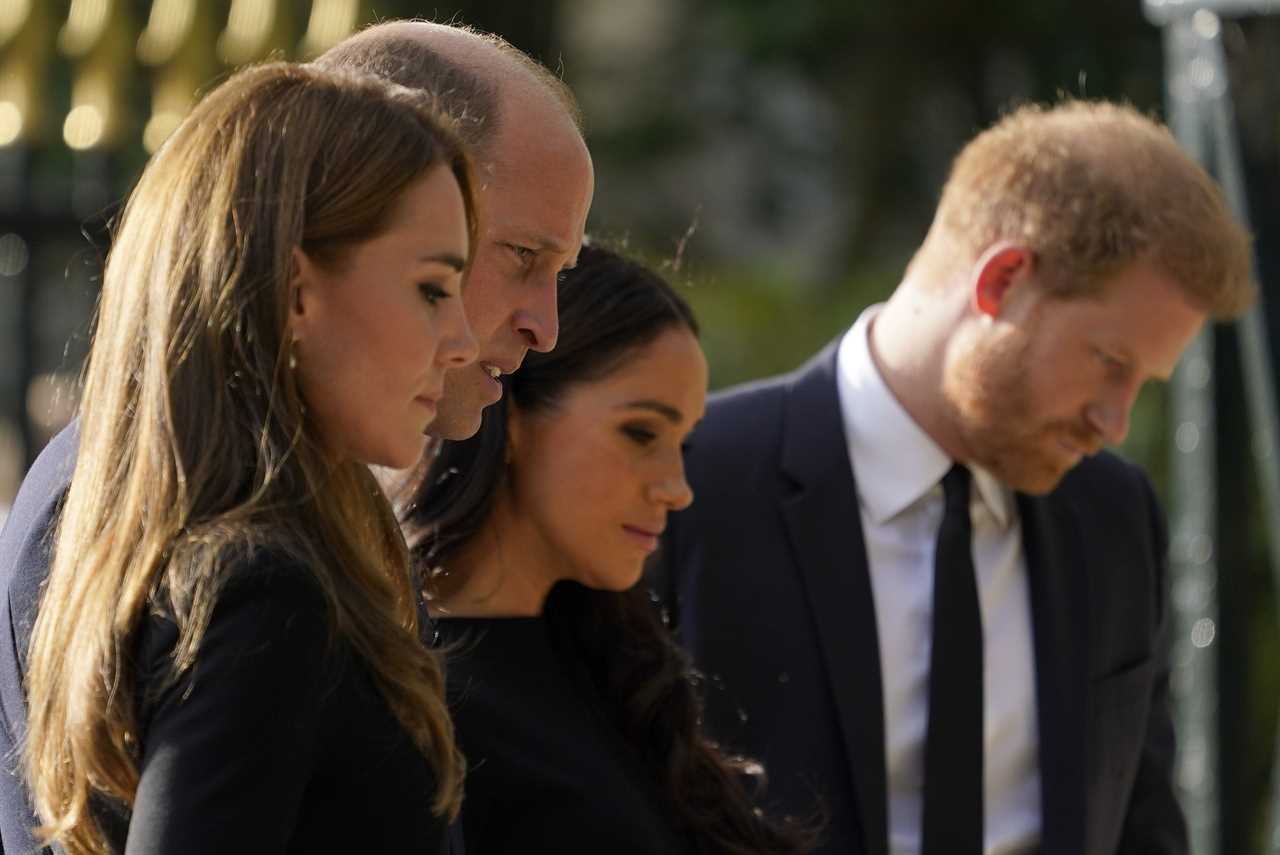 Princess Kate ‘found walkabout with Meghan Markle and Prince Harry difficult’ due to ‘ill-feeling’ between couples