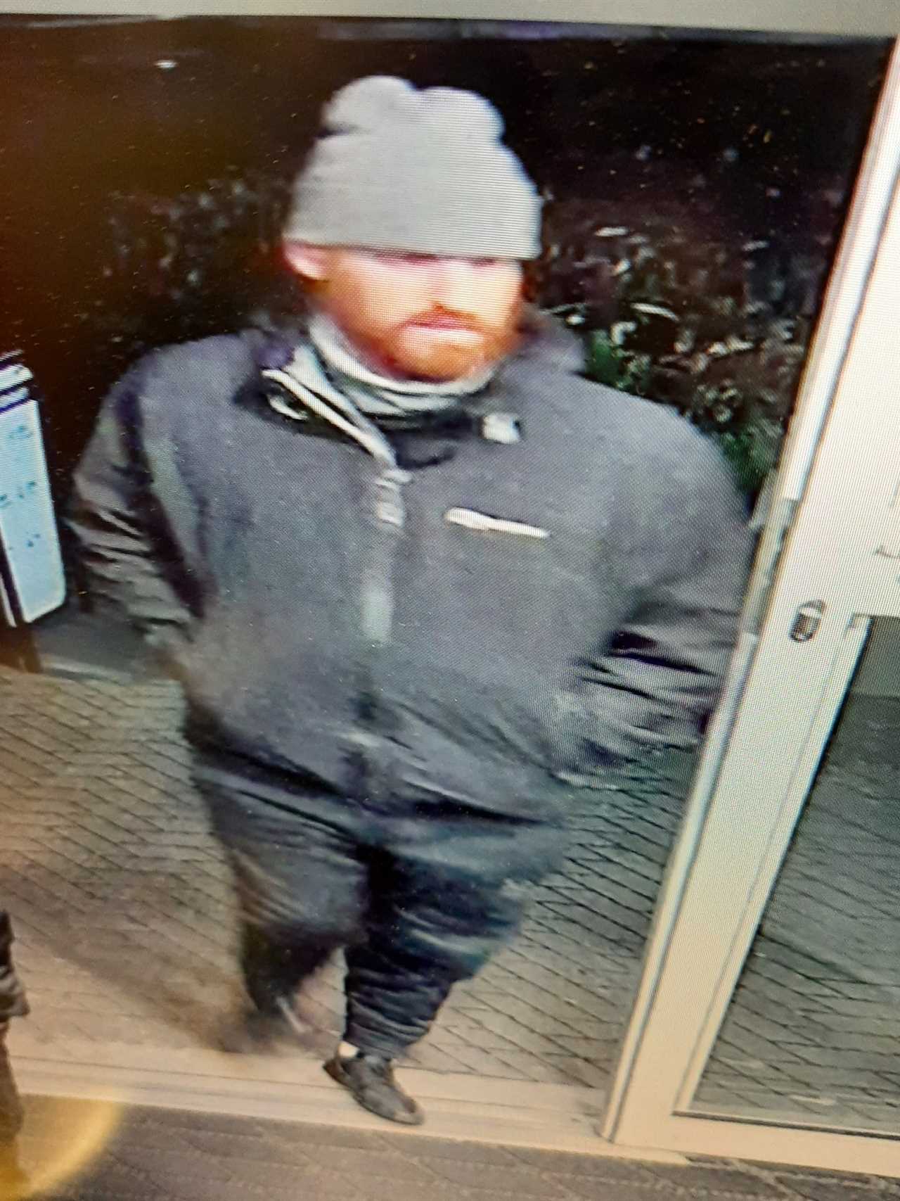 Cops hunting Prince Harry lookalike after designer handbag stolen from car