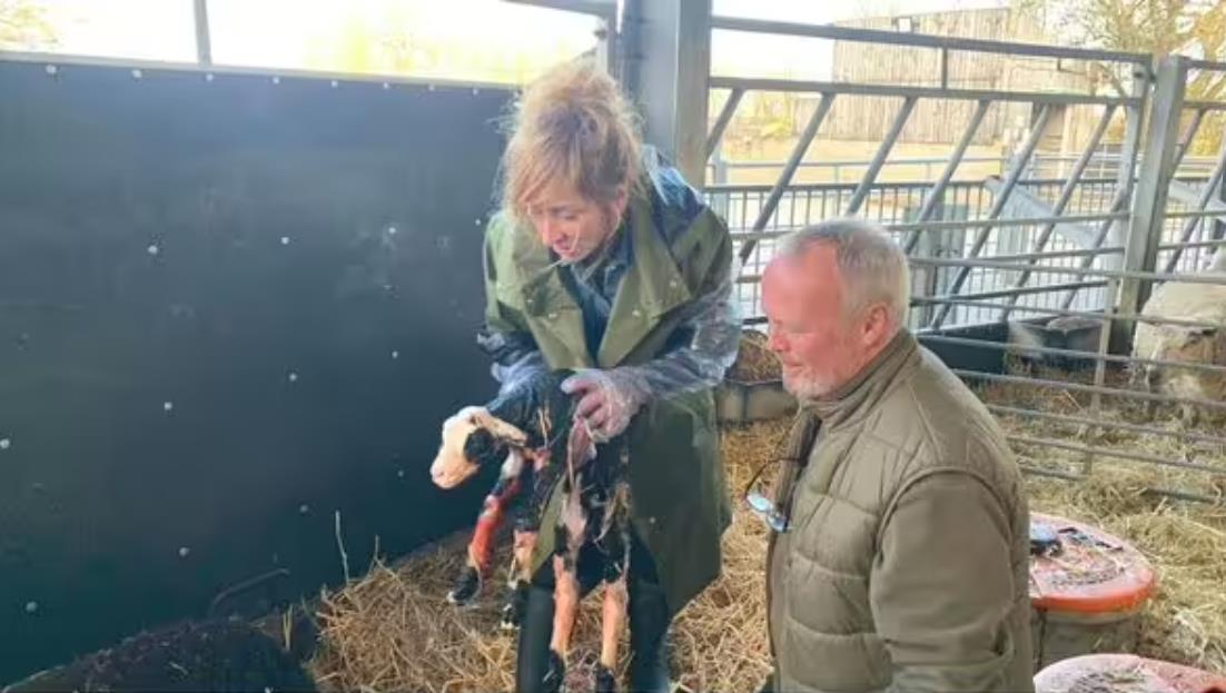 Emmerdale’s Laurel Thomas star is worlds away from soap as she grits teeth for grisly Springtime on the Farm birth scene