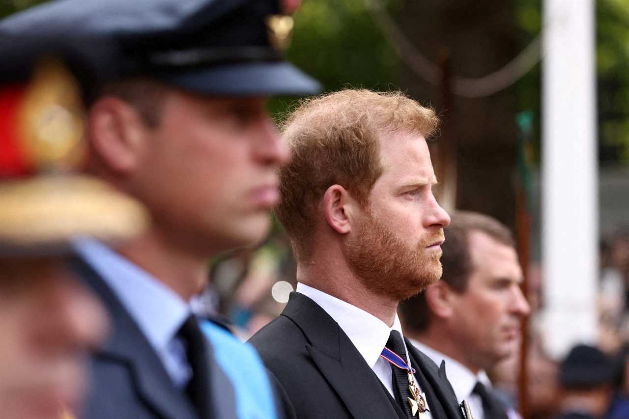 FILE PHOTO: Britain's William, Prince of Wales and Britain's Prince Harry, Duke of Sussex attend the state funeral and burial of Britain's Queen Elizabeth, in London, Britain, September 19, 2022. REUTERS/Tom Nicholson/File Photo