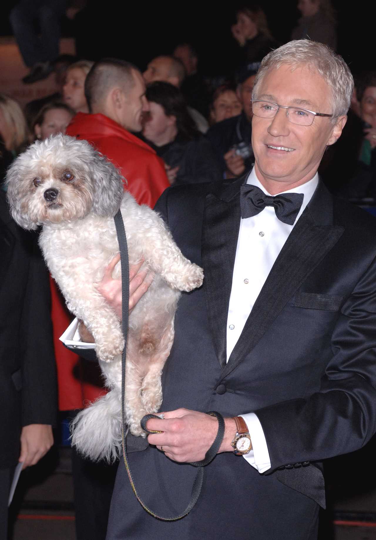 Paul O’Grady fans breaks down in tears as they learn of tragic story behind dog with ‘the saddest face’