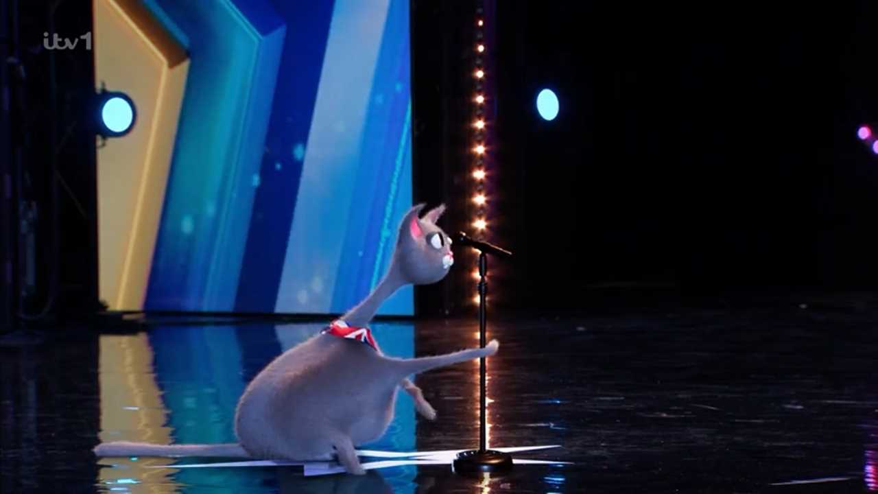 BGT viewers convinced famous singer is behind ‘bizarre’ singing cat