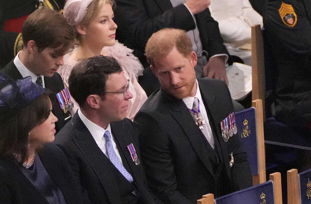 I’m a lip reader… here’s what Prince Harry revealed about his travel plans as he sat with Jack Brooksbank at coronation