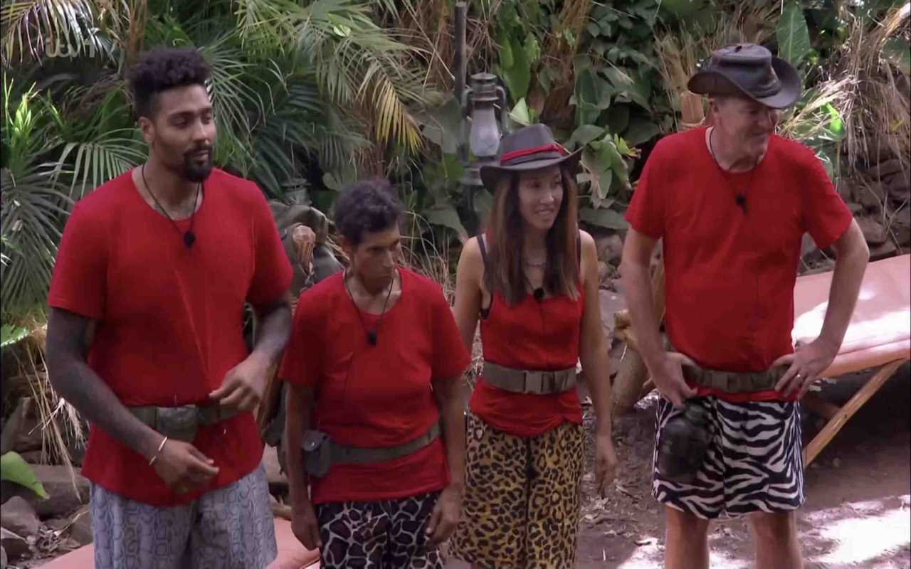 I’m A Celebrity fans convinced they’ve ‘worked out’ who’s been dumped hours before the final